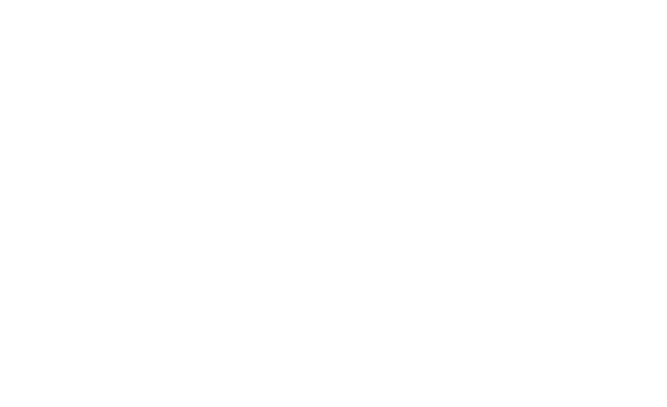 The Scalers